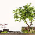Landscape modeling tree courtyard tree stone wall Ting step micro terrain 3d model