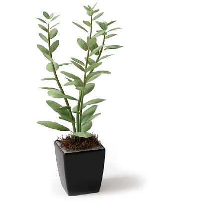 Modern Potted Plant 3d model