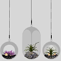 Multiple Hanging Transparent Glass Pendant Lights With Plants And Pink Flowers