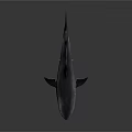Realistic Gray Shark Model With Open Mouth Sharp Teeth And Dorsal Fin 3d model