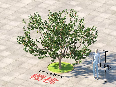 Cherry Tree Arbor with 3.5m Diameter and 8m Height in Outdoor Paved Area 3d model
