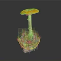 Vibrant Orange Cap Mushroom with White Stem and Green Grass on Base against Dark Background