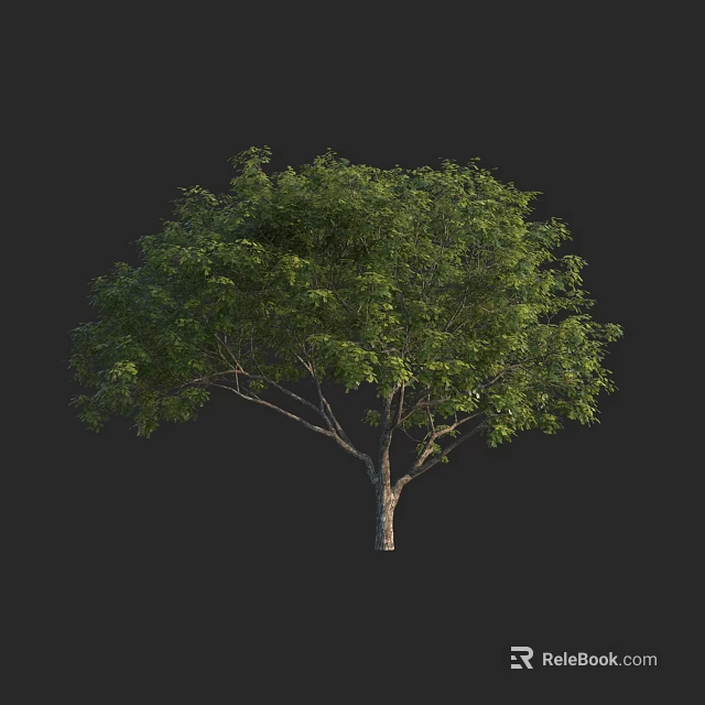 Lush Green Arbor With Dense Foliage And Brown Trunk In Natural Scene 3d model 
