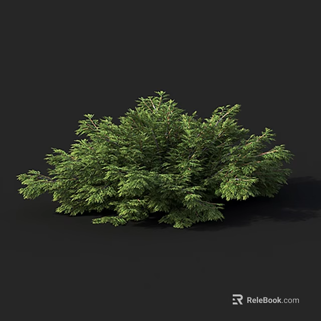 Arbor With Lush Green Foliage And Dense Branches On Dark Background 3d model