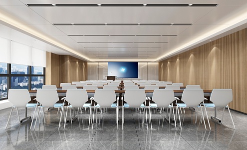 Modern large conference room 3d model