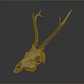 Detailed Deer Skull With Natural Brown Antlers Isolated On Dark Background