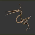 Medical Device Anatomical Skeleton Teaching Model Featuring 3D Printed Bone Structure