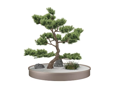 Traditional Garden Landscape Design Featuring Miniature Pine Tree Decorative Stones Smooth Sand And Circular Basin 3d model