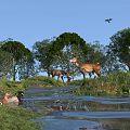 Natural Wildlife Landscape With Deer By Stream Green Grass And Rocks
