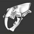 Realistic Medical Skull Model With Brown Color And Long Fangs For Education