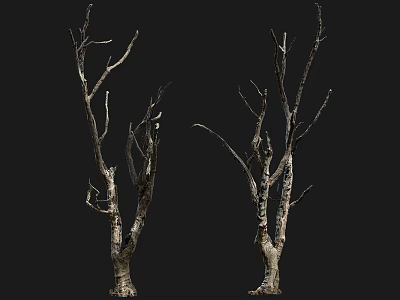 Bare Leafless Trees With Twisted Branches And Textured Trunks On Dark Background 3d model