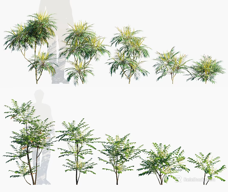 Various Types of Green Leafy Shrubs with Lush Foliage for Garden Decoration 3d model 
