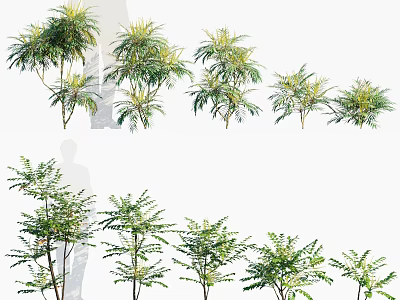 Various Types of Green Leafy Shrubs with Lush Foliage for Garden Decoration 3d model