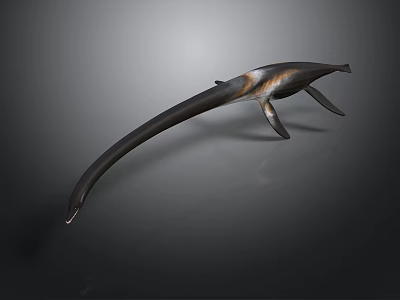 Elongated Streamlined Dark Colored Sculpture With Light Textures And Fin Like Structures 3d model