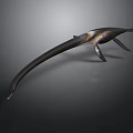 Elongated Streamlined Dark Colored Sculpture With Light Textures And Fin Like Structures