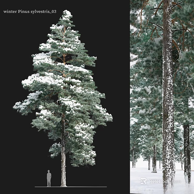 Snow Covered Pine Tree Decorative Ornament Set For Home Decor 3d model 