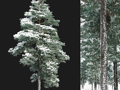 Snow Covered Pine Tree Decorative Ornament Set For Home Decor 3d model