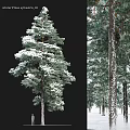 Snow Covered Pine Tree Decorative Ornament Set For Home Decor 3d model