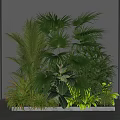 Lush Indoor Green Plants Arrangement Featuring Various Palm Fern Leaves And Grey Wall Background