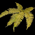 Nutritious Yellow Edible Fern Leaves for Cooking and Healthy Dishes