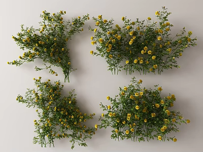 Modern Rose Vine 3d model