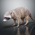 Realistic Raccoon With Brown Gray Fur Striped Tail Standing On Dark Gray Background With Reflection