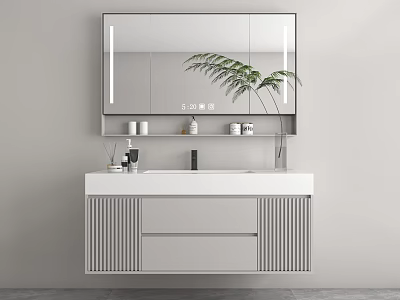 Modern Minimalist Bathroom Vanity With Large Mirror Potted Fern Plant And Vertical Striped Cabinet 3d model