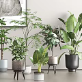 Stylish Indoor Potted Plants With Various Decorative Pots For Home Decor
