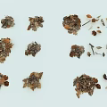 Natural Garden Decor Pieces With Various Dried Leaves Twigs Shapes and Colors