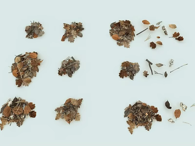 Natural Garden Decor Pieces With Various Dried Leaves Twigs Shapes and Colors 3d model