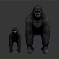 Realistic Adult and Baby Gorillas Standing 3D Render on Gray Background