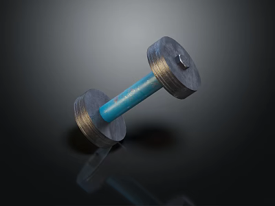Heavy Duty Metal Dumbbell Sports Equipment For Fitness Training With Blue Bar 3d model