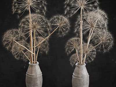 Two Concrete Gray Vases With Dried Dandelion Flowers Against Black Background 3d model