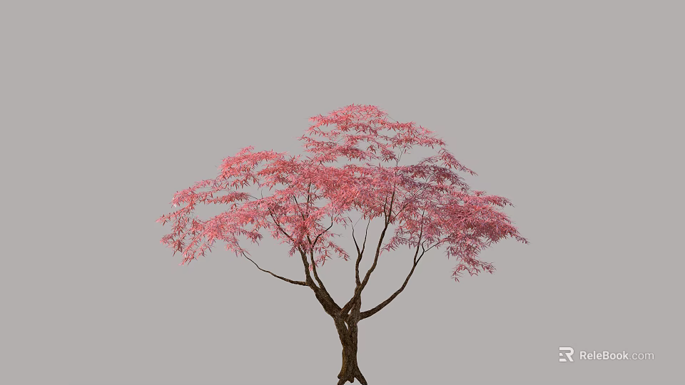 Elegant Arbor With Vibrant Pink Leaves Graceful Branches And Brown Trunk 3d model 