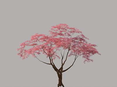 Elegant Arbor With Vibrant Pink Leaves Graceful Branches And Brown Trunk 3d model