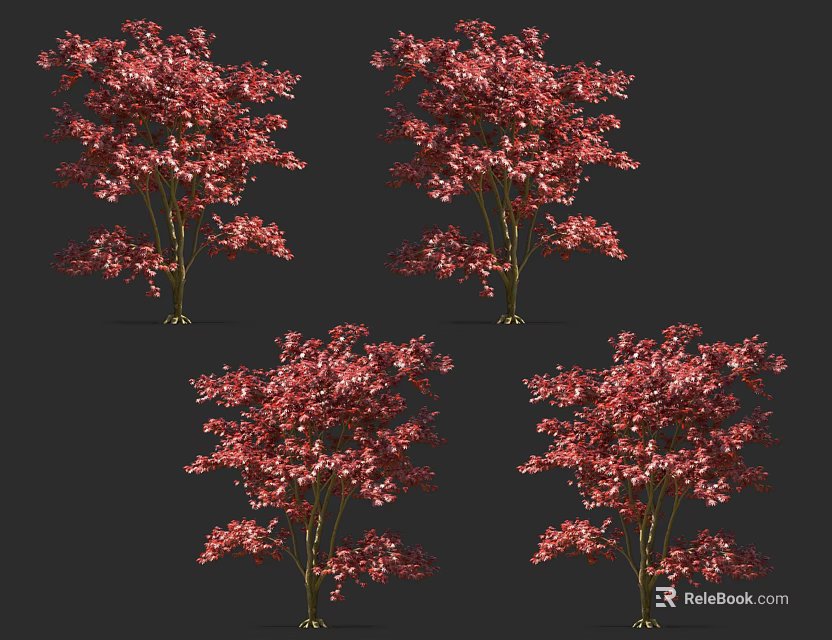 Red Flowering Arbor Tree With Lush Branches For Garden Landscape Design 3d model