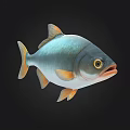 Silver Fish With Orange Fins Tail And Yellow Eyes Against Black Background