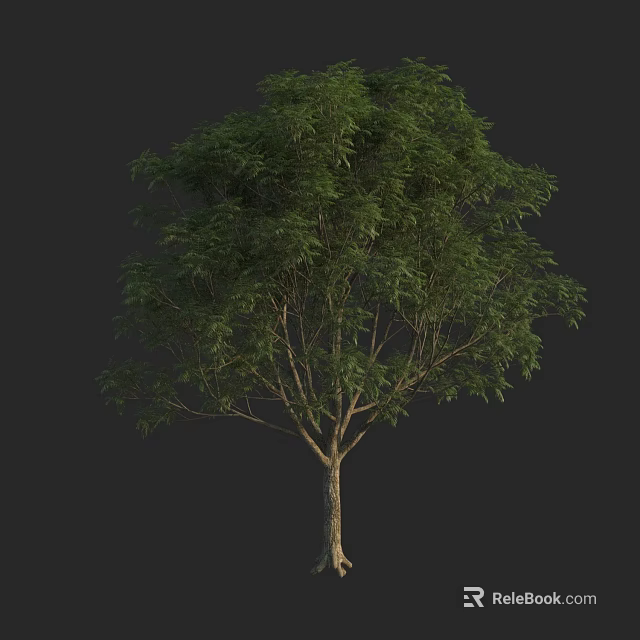 Tall Tree with Lush Green Foliage and Strong Trunk in Natural Growth 3d model 