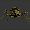 Green Mantis with Detailed Body Structure Predatory Forelegs and Reflection on Gray Gradient Background