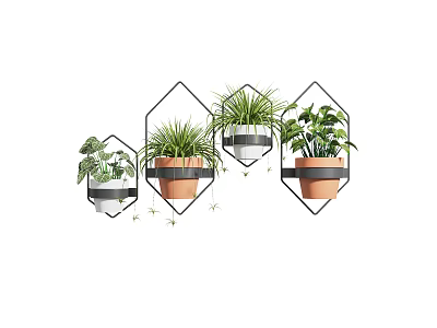 Wall Mounted Potted Plants with Geometric Metal Frames and Lush Green Foliage for Home Decor 3d model