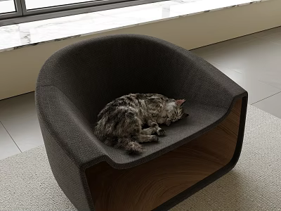 Reptile Resting Comfortably On Modern Gray Chair In Bright Room 3d model