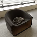 Reptile Resting Comfortably On Modern Gray Chair In Bright Room