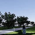 Outdoor Stone Pillar Lights Illuminating Pathway In Green Lawn With Trees
