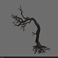Dry Tree With Twisted Trunk Bare Branches And Exposed Roots In Natural Form 3d model
