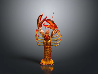 3D Artist Presents Realistic Red Lobster Model With Shiny Shell And Reflective Surface 3d model
