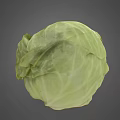 Fresh Green Cabbage Vegetable with Crisp Leaves and Natural Healthy Texture