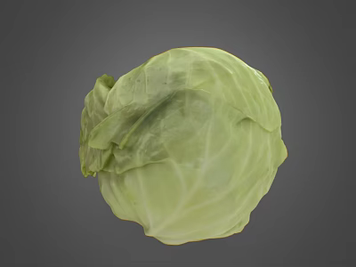 Fresh Green Cabbage Vegetable with Crisp Leaves and Natural Healthy Texture 3d model Fresh Green Cabbage Vegetable with Crisp Leaves and Natural Healthy Texture 3d model