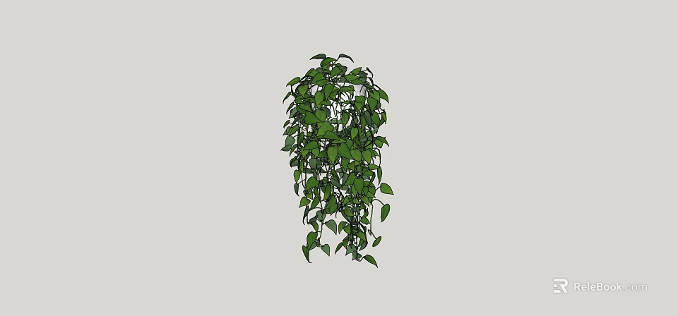 Hanging Vine Plant With Lush Green Leaves For Indoor Decoration 3d model 