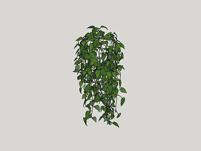 Hanging Vine Plant With Lush Green Leaves For Indoor Decoration 3d model