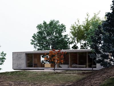 Modern single-family villa landscape 3d model